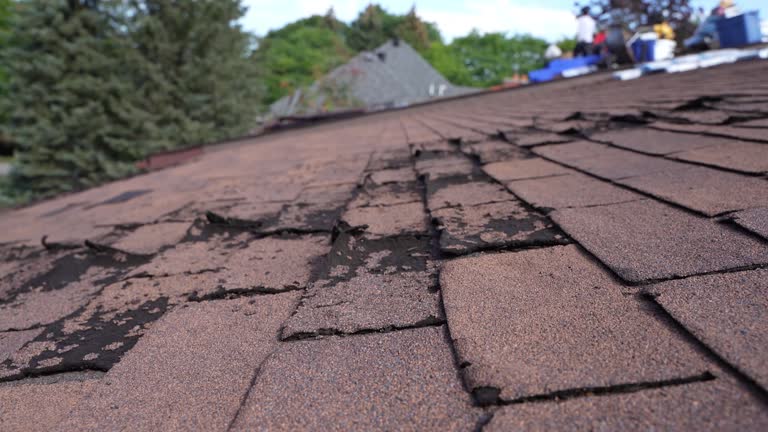 Fast & Reliable Emergency Roof Repairs in Port Chester, NY